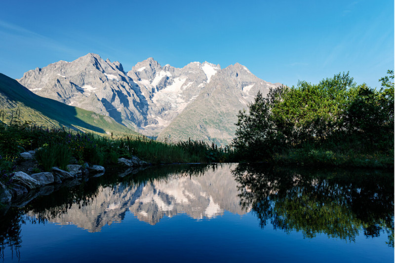 jardin-alpin-du-lautaret-serre-chevalier