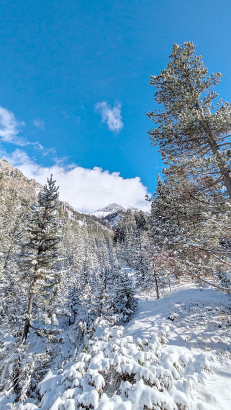 mountania-mountania-paysage-neige-raquettes-serre-chevalier-9820897 mountania-mountania-paysage-neige-raquettes-serre-chevalier-9820897