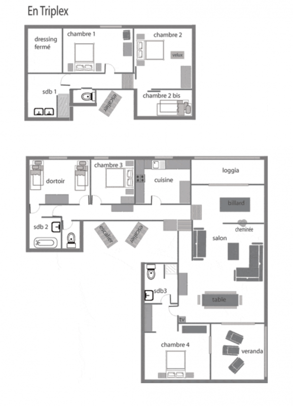 plan-crocus-11520870