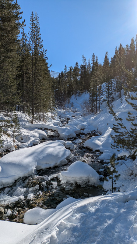 randonnee-raquettes-journee-tirrent-enneige-serre-chevalier-9873615 randonnee-raquettes-journee-tirrent-enneige-serre-chevalier-9873615