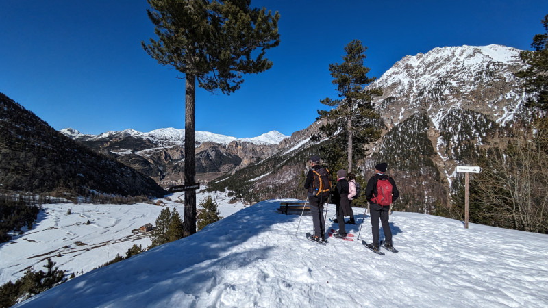 sortie-raquettes-montagne-foret-serre-chevalier-9835868 sortie-raquettes-montagne-foret-serre-chevalier-9835868