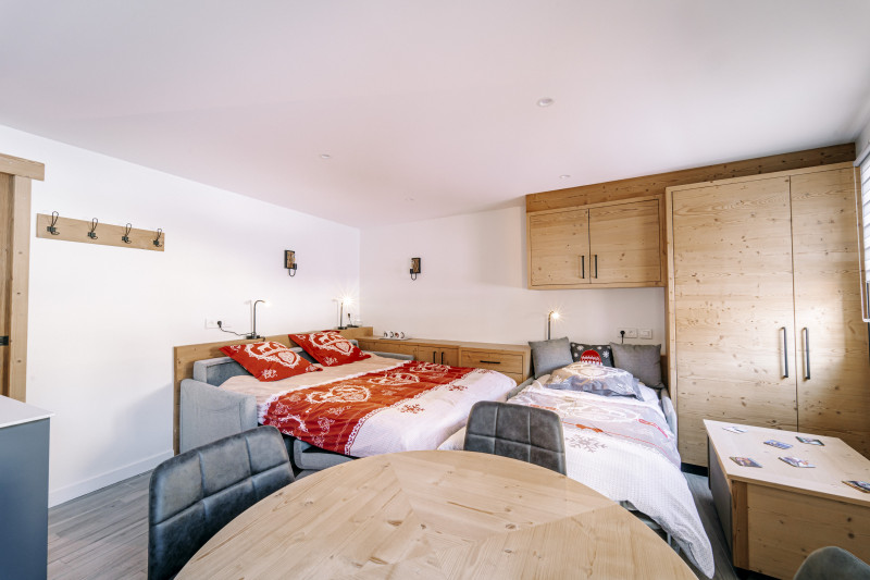 studio-l-aiguillette-galibier-canape-et-lit-simple-chantemerle