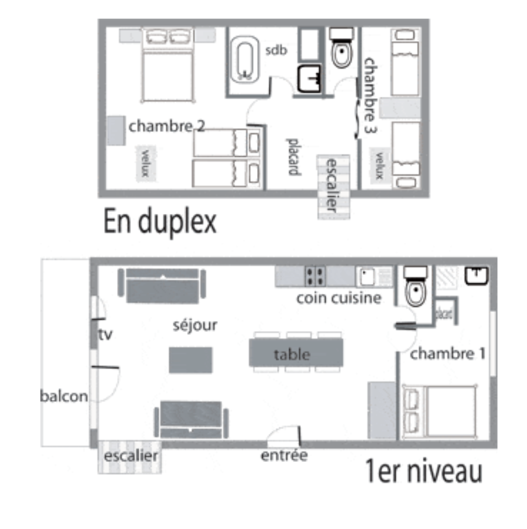 plan-myosotis-11520872