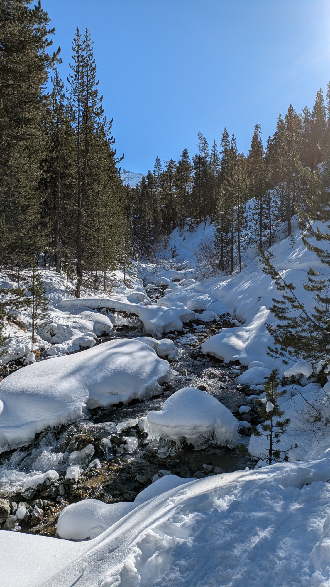 randonnee-raquettes-journee-tirrent-enneige-serre-chevalier-9873615