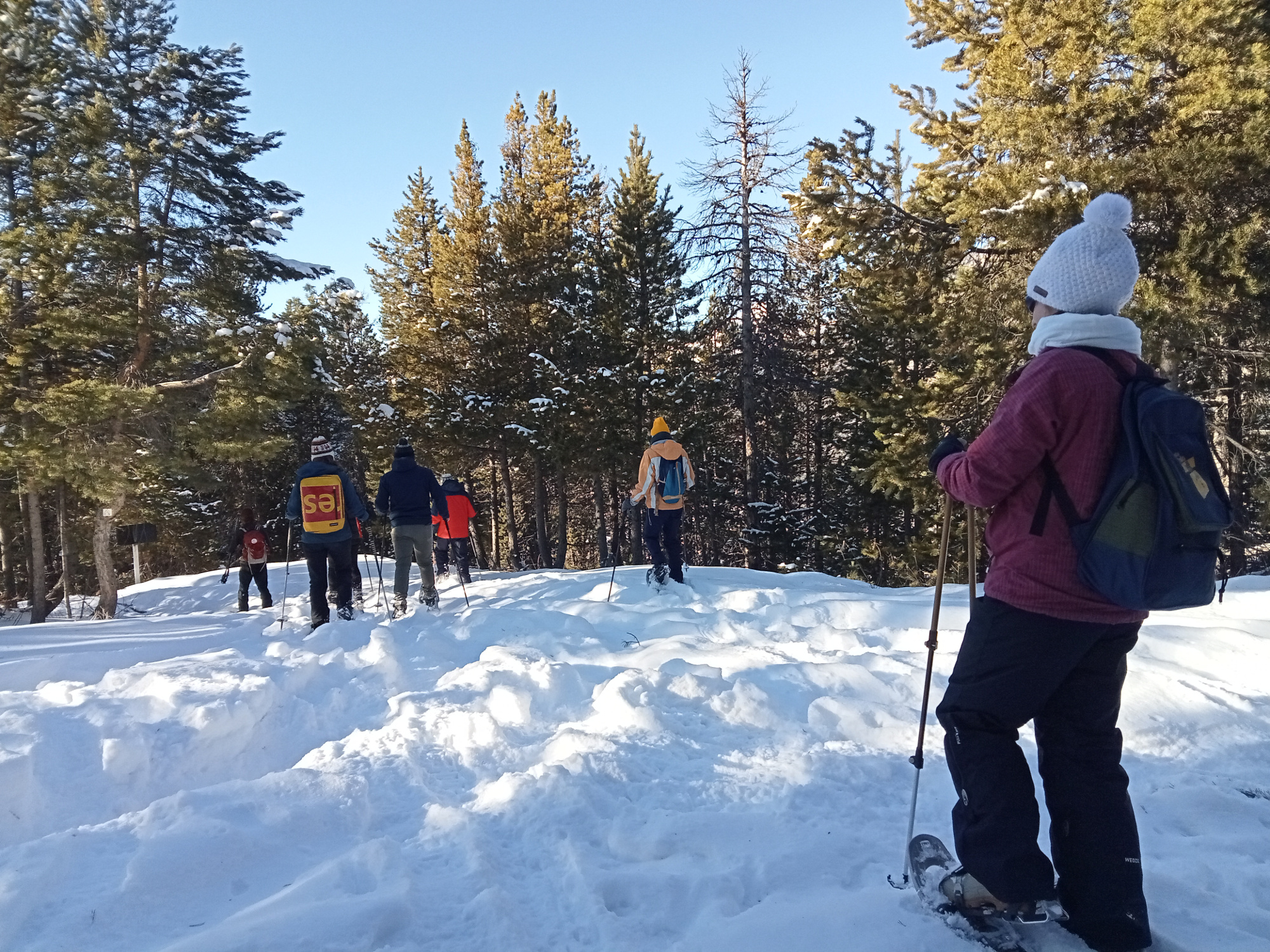 raquettes-foret-forts-vauban-serre-chevalier-briancon