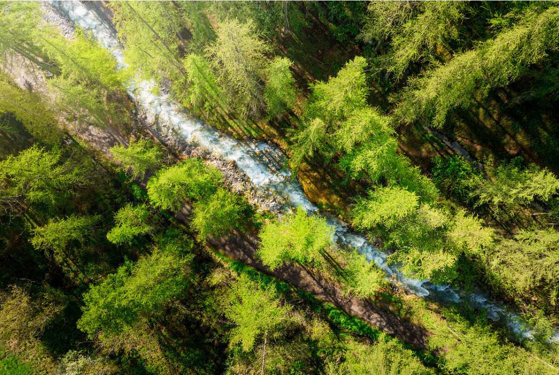 riviere-guisane-foret-de-melezes-serre-chevalier