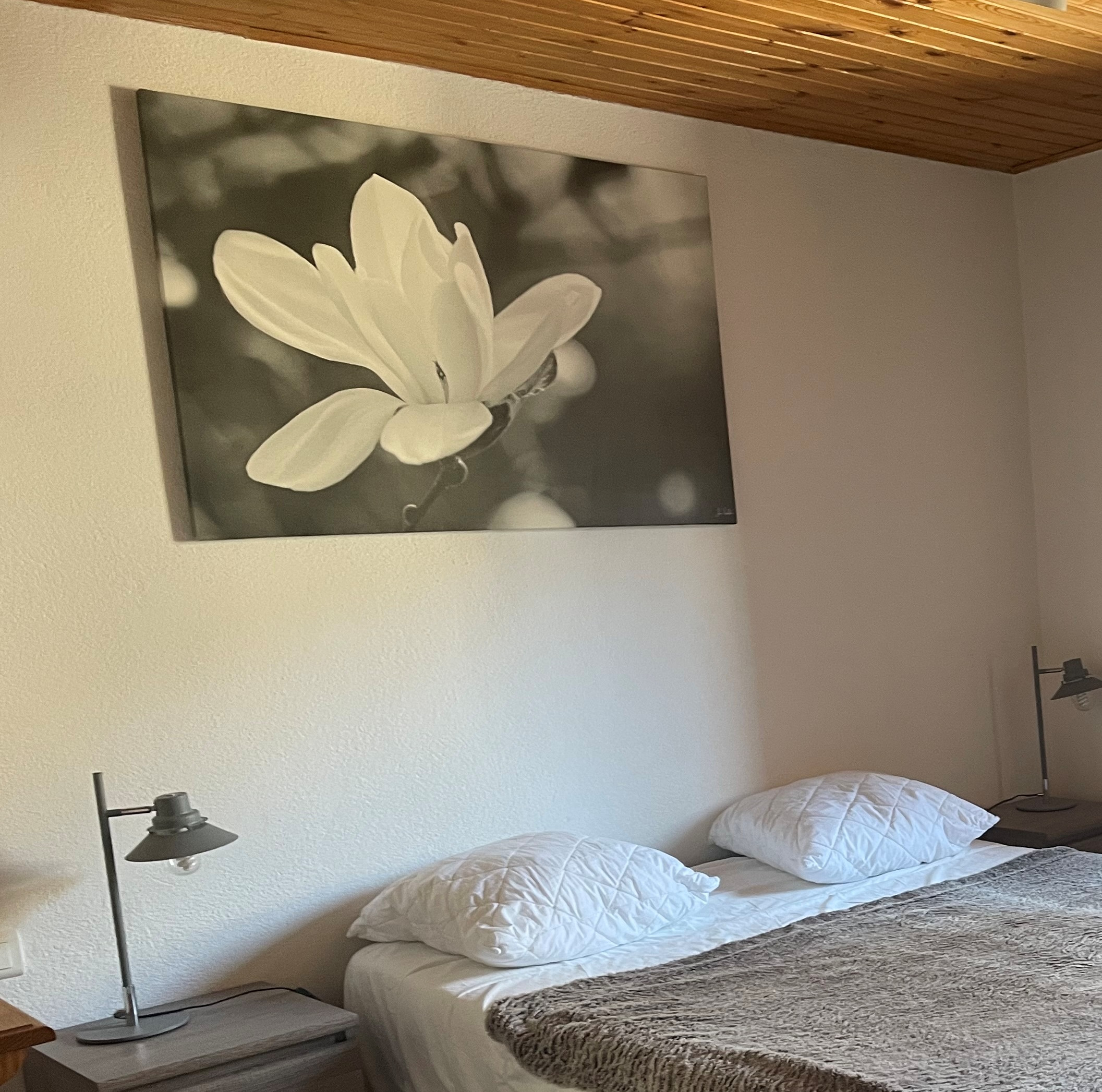 sans-titre-8324742